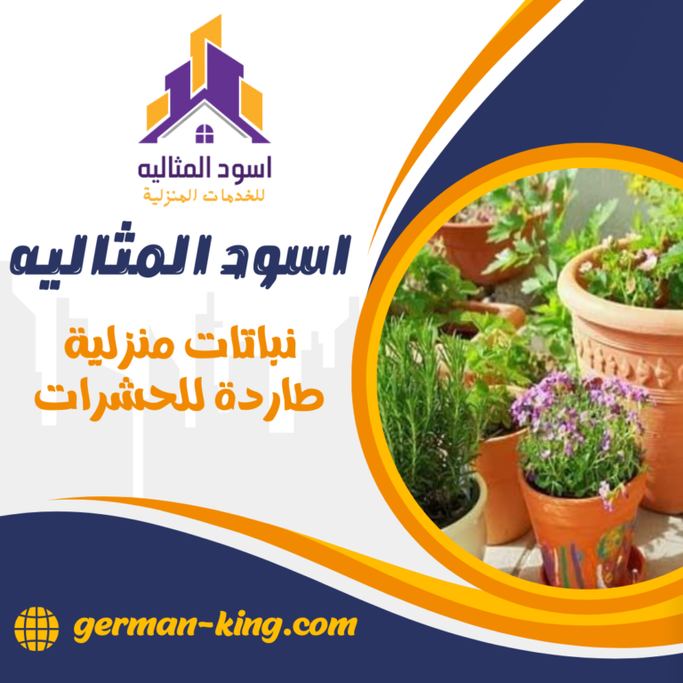 نباتات منزلية طاردة للحشرات