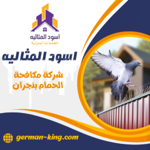 شركة مكافحة الحمام بنجران شركة مكافحة الحمام بنجران